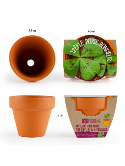 Cultiver le trèfle à 4 feuilles - Hortus Focus I mag