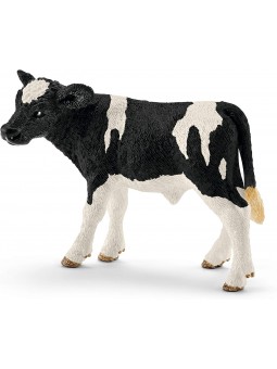 Veau Holstein