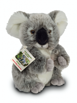 Koala assis 21 cm