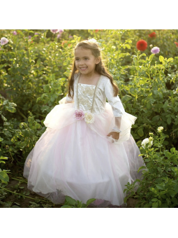 Robe Princesse rose dorée