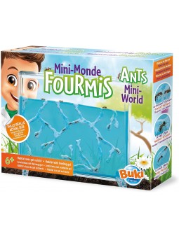 Mini Monde des fourmis