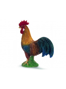 Coq