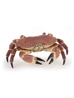 Crabe