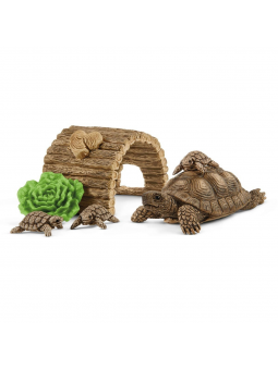 Maison pour tortue