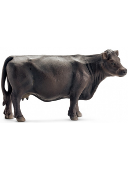 Vache Black Angus