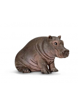 Jeune hippopotame