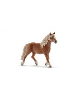 Etalon Haflinger