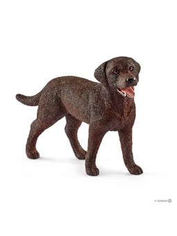 Labrador retriever femelle