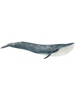 Baleine bleue