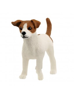 Jack Russell