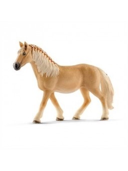 Jument Haflinger