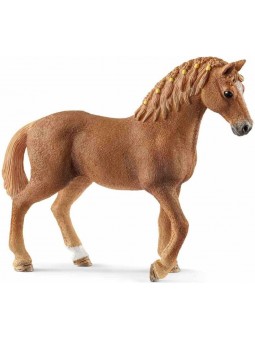 Jument Quarter Horse