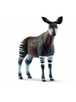 Okapi