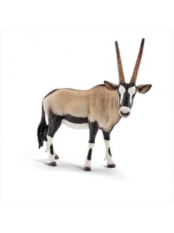 Oryx