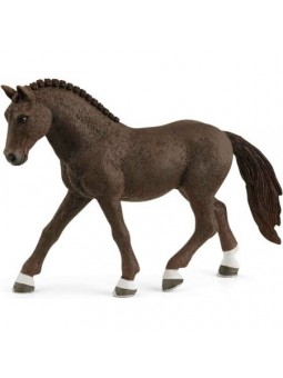 Poney de selle allemand Hongre