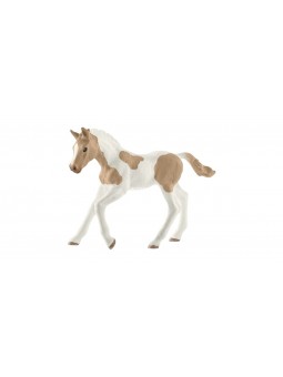 Poulain Paint Horse