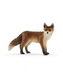 Renard