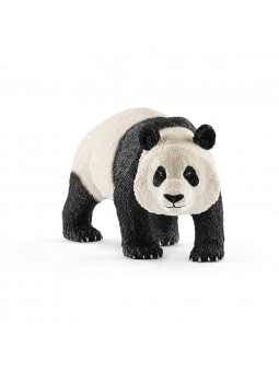 Panda géant mâle