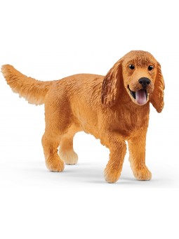 Cocker Spaniel anglais