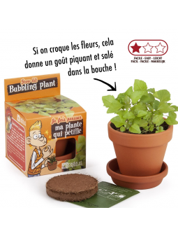 Ma plante qui pétille à...