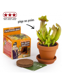 Ma plante carnivore à faire...