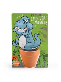 Plante carnivore T-Rex à...