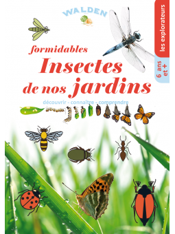 Formidables insectes de nos...