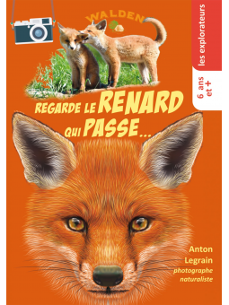 Regarde le renard qui passe