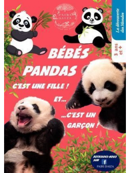 Bébés pandas. C'est une...