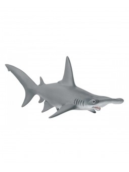 Requin-marteau