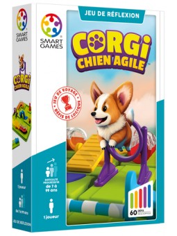 Corgi chien agile