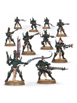 Guerriers Kabalites Drukhari